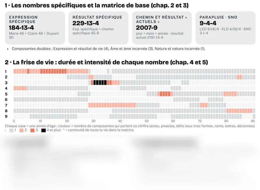Extrait de la fiche d’analyse d’un profil fictif : nombres spécifiques et frise de vie